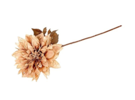 Dahlia tak