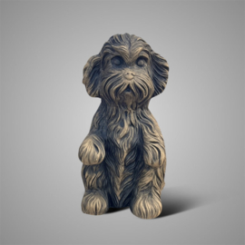 Hondje A8534-10