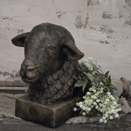 Schaap A7931-10