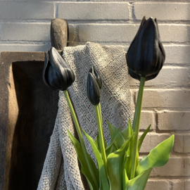 Bosje tulpen