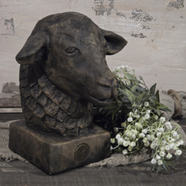 Schaap A7931-10