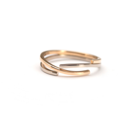 Gouden ring met twee kleuren goud