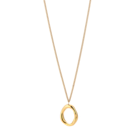 Stainless steel ketting lang met bedel rond