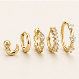 Earparty set voor 5 gaatjes goud en zilver - stainless steel