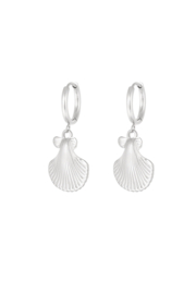 Oorbellen schelpjes