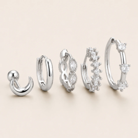 Earparty set voor 5 gaatjes goud en zilver - stainless steel