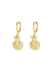 Oorbellen schelpjes
