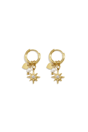 Stainless steel oorbellen zilver en goud met ster