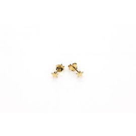 Star studs - echt zilver