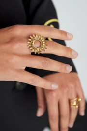 Ring met zon