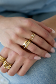 Dubbele ring stainless steel en steentjes goud