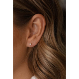 Oorknopjes beauty met steentjes - echt zilver