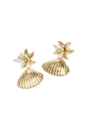 Stainless steel statement zeester schelp