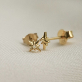 Oorknopjes star- echt zilver