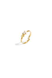 Stainless steel ring goud verstelbaar met hartjes