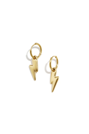 Stainless steel oorbellen zilver en goud met bliksem