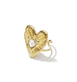 Hartjes set van oorbellen en ring stainless steel goud