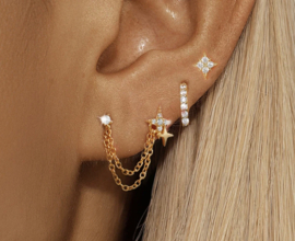 Earparty set voor 4 gaatjes goud en zilver - stainless steel
