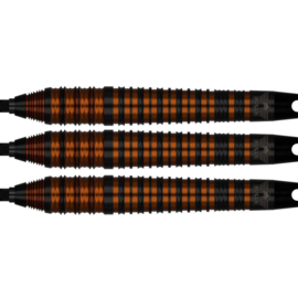 Bull's Dirk van Duijvenbode Black CP Steeltip 80% 24gr
