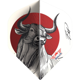 Bull's Design 100 Rising Bull No.2 Flight