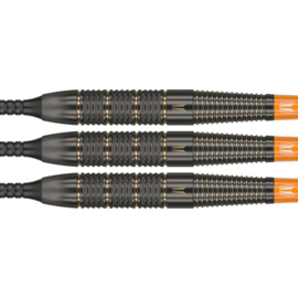 Softtip Target Raymond van Barneveld Brass 18gr