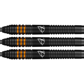 Bull's Dirk van Duijvenbode E2 90% 24gr