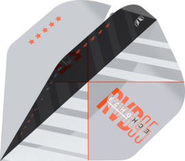 Target Player Raymond van Barneveld Echo No.2