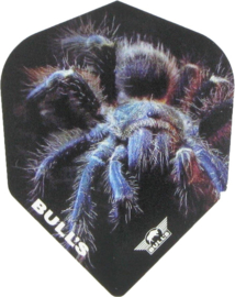 Bull's Animal 100 Tarantula No.6