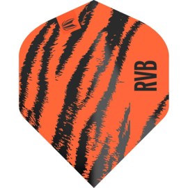 Target Pro Player Raymond van Barneveld No.2 Orange