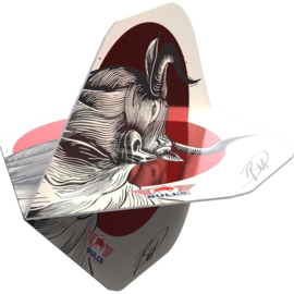 Bull's Design 100 Rising Bull No.2 Flight