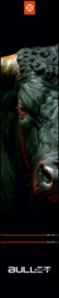 Bullet Fury Dart Mat 300x60cm