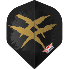 Bull's Player 100 Richard Veenstra 90 E2 No.2 Flight