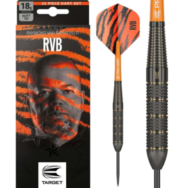 Target Raymond van Barneveld Brass 22gr