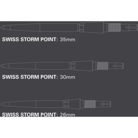 Target Swiss Points Storm Silver 35mm
