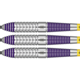 Target Luke Littler Brass 22 gram Steeltip