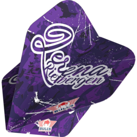 Bull's Player 100 Lerena Rietbergen 90 No.2 Flight