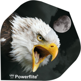 Bull's Powerflite Eagle