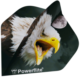 Bull's Powerflite Eagle