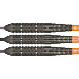 Target Raymond van Barneveld Brass 22gr