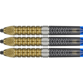 Target Raymond van Barneveld G6 95% Swiss 23gr