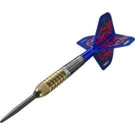 Target Raymond van Barneveld G6 95% Swiss 23gr
