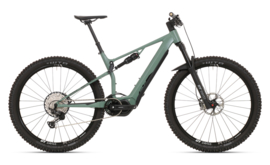 Elektrische Mountainbikes