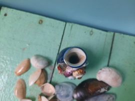 Vaas met schelpen