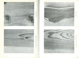 Wat is dat voor een boom? – A. Kosch en M.C.H. Ruys - 1951