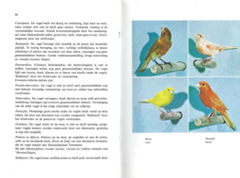 Kanaries houden als liefhebberij – R.R.P. van der Mark - 1966