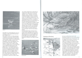 Vogelobservatiehutten in Zeeland – Chiel Jacobusse e.a. - 1995