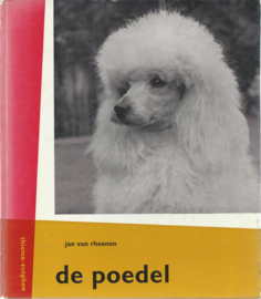 de poedel – JAN VAN RHEENEN – ca. 1968