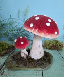 Paddestoelen, rood met witte stippen