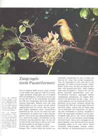 DE WONDERLIJKE NATUUR – Het Vogelrijk – K.A. van den Hoek - 1980