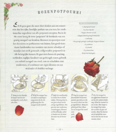 LINTJES EN ROZEN - DEBORAH SCHNEEBELI-MORRELL - 1996